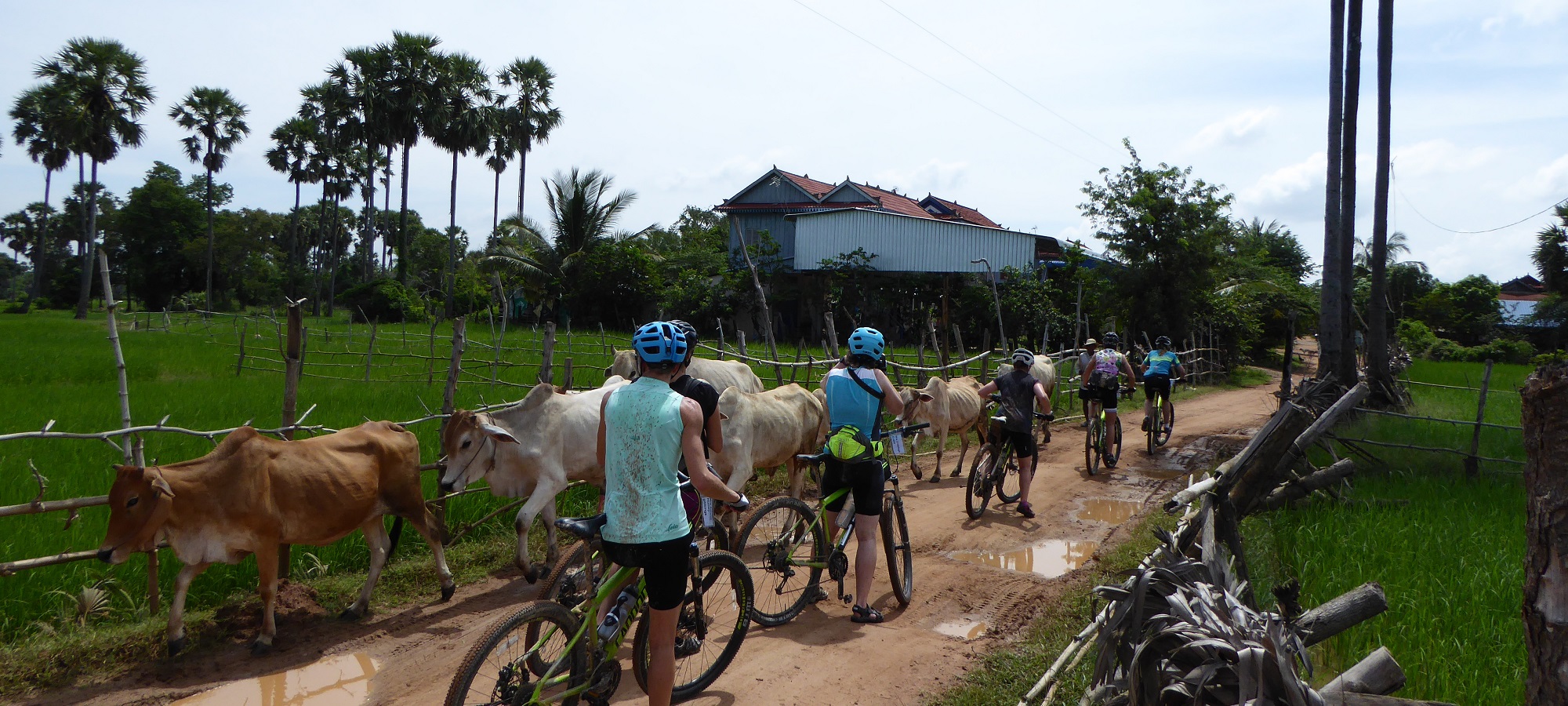 Cycling Holidays Cambodia